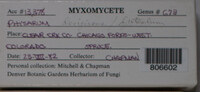 Image Associated With the Occurence